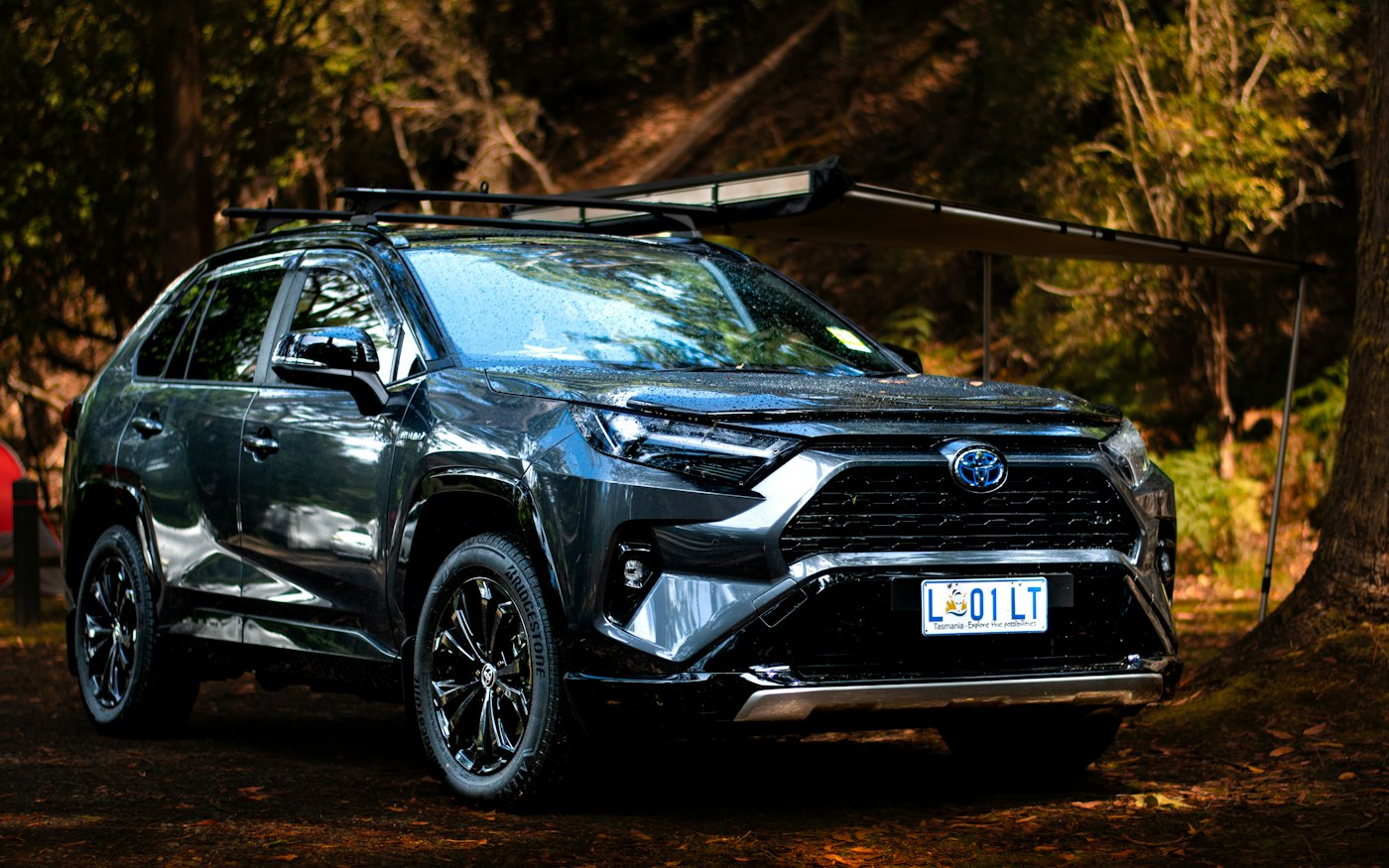 Czarna Toyota RAV4 w lesie